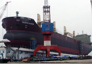 Vụ Vinashin: Không xử lý kỷ luật các thành viên Chính phủ ảnh 1