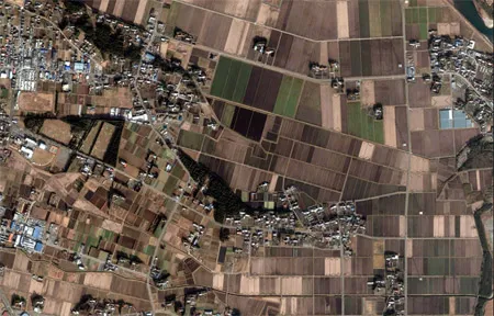 Nhật Bản trước và sau động đất qua Googe Earth ảnh 17