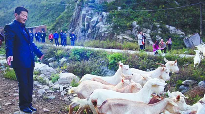 Người vạch trần vụ sữa nhiễm melamine bị giết ảnh 1 Người vạch trần vụ sữa nhiễm melamine bị giết ảnh 1