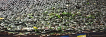 Chùa Một Cột xuống cấp nghiêm trọng ảnh 3