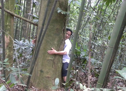 Thái Nguyên: Phát hiện 10 cây chè cổ trên núi ảnh 1