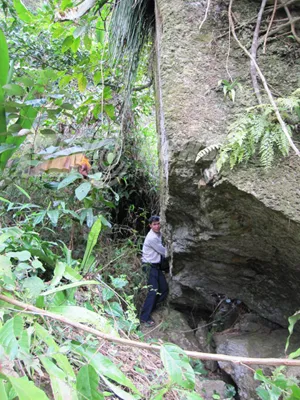 Xâm nhập ngọn núi có hang động chứa vàng ròng- Kỳ 2: Vào núi tìm hang vàng ảnh 5