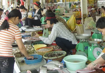 Quá nhiều thứ độc, biết ăn gì? ảnh 1