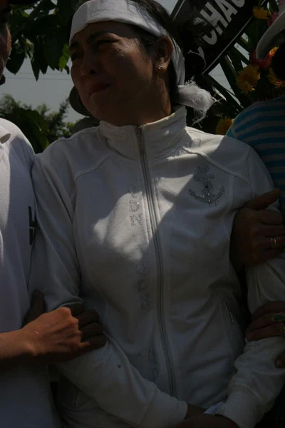 Những lời khai của bà Trần Thúy Liễu trước khi đầu thú ảnh 1