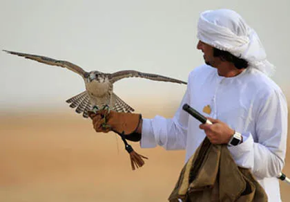 Nga - Ảrập Xê-út trục trặc vì chim ảnh 1