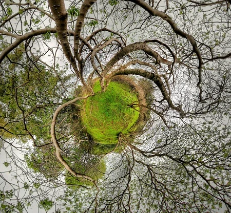 Ngỡ ngàng thế giới đẹp lạ trong bộ ảnh panorama 360 độ ảnh 7