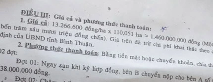 Bán rừng ngân sách thấp hơn giá thành ảnh 2