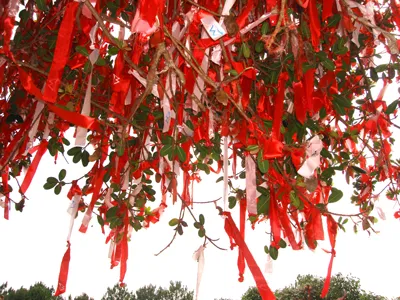 Dải lụa tình yêu độc đáo ở Đà Lạt ảnh 3 Dải lụa tình yêu độc đáo ở Đà Lạt ảnh 3