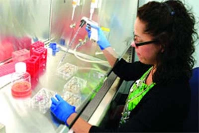 Cải lão hoàn đồng, ước mơ trong tầm tay ảnh 1