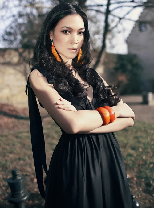 Hoàng My, Diễm Hương được đề cử thi Miss World 2012 ảnh 3