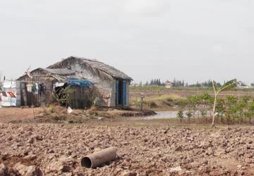 Bến Tre: Ba Lai khát ngọt ảnh 2