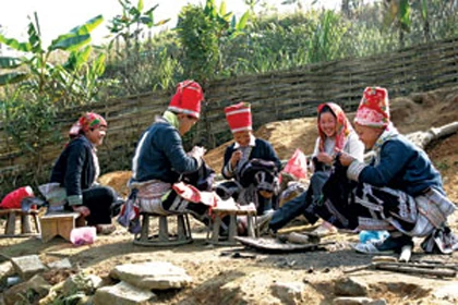 Lên Tây Bắc thăm lúa ảnh 6 Lên Tây Bắc thăm lúa ảnh 6