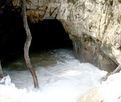 Kỳ 5: Hành trình xâm nhập lãnh địa của loài trăn ở Sơn La ảnh 4