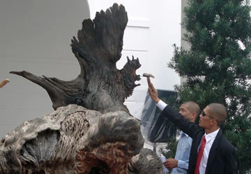 Vụ đấu giá từ thiện... ảo: Bộ tứ linh giá gốc bao nhiêu? ảnh 2