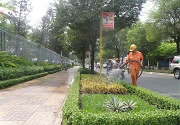 Giao khu phố bảo vệ cây xanh ảnh 1 Giao khu phố bảo vệ cây xanh ảnh 1