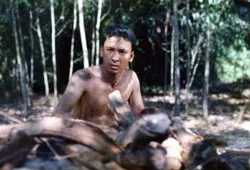 Những ngôi sao một thời: Lặng lẽ bỏ cuộc chơi ảnh 1 Những ngôi sao một thời: Lặng lẽ bỏ cuộc chơi ảnh 1