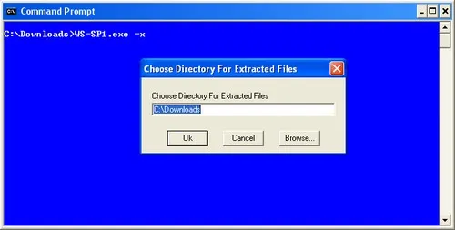 Hình G: Bạn có thể bung các file vào cùng thư mục chứa file thực thi Windows Server 2003 SP1