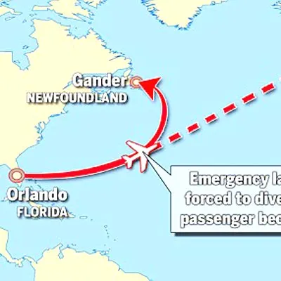 Say xỉn quậy trên máy bay ảnh 1 Say xỉn quậy trên máy bay ảnh 1