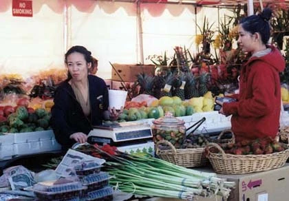 Người Việt ở Mỹ dựa vào gia đình để phát tài ảnh 1