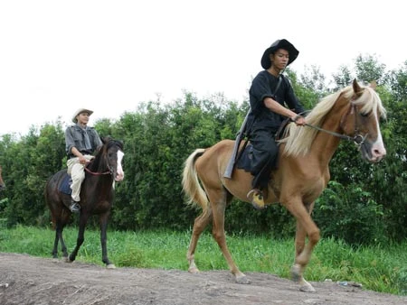 Cuốn theo "Vó ngựa trời Nam" ảnh 1 Cuốn theo "Vó ngựa trời Nam" ảnh 1