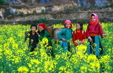 Xuân về trên cao nguyên đá ảnh 1