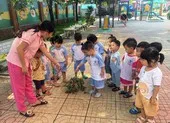 Học sinh nhiều trường tiểu học ở TP.HCM lần đầu được trở lại trường ảnh 9 5 ngày đầu đi học của trẻ mầm non TP.HCM sẽ như thế nào?