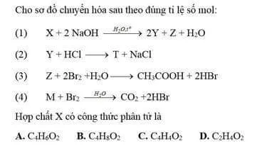 thi-danh-gia-nang-luc-dot-2 (2).jpg