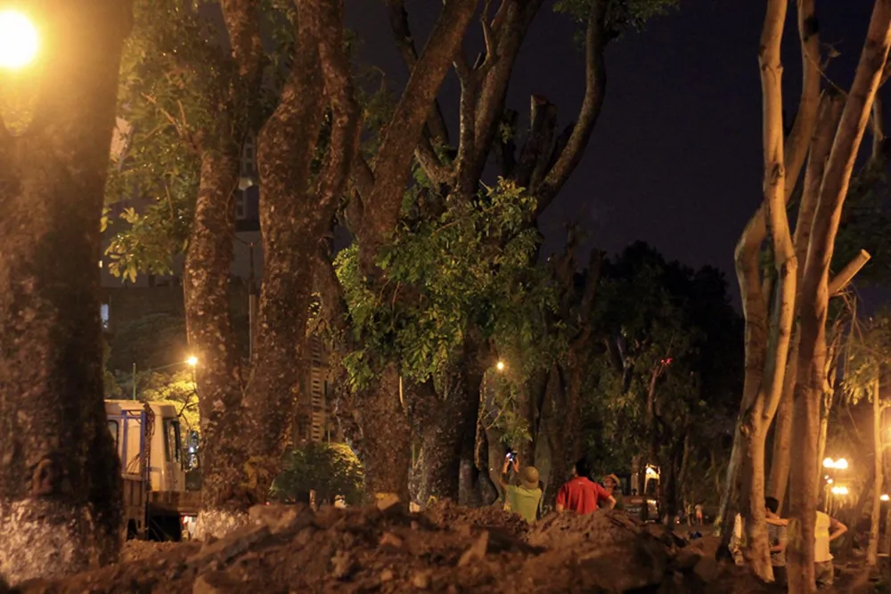 ác cây xanh này sẽ được di chuyển về vườn ươm Văn Giang (Hưng Yên) để tiếp tục duy trì chăm sóc bảo dưỡng