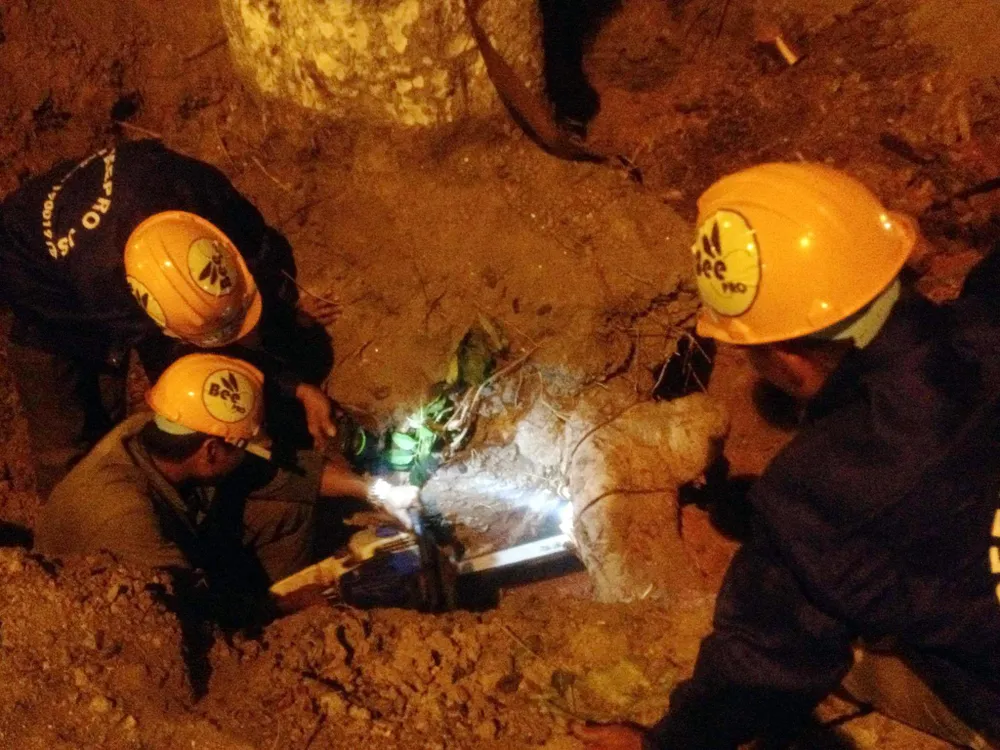 Theo dự tính, sẽ có 5 cây trên đường Kim Mã được vận chuyển vào tối qua.