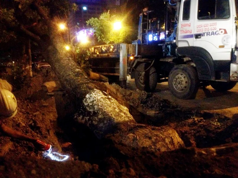 Đây là một việc làm nhân văn của Thủ đô.