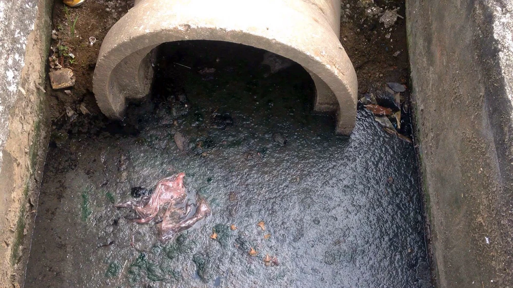 Hồ nước bốc mùi hôi thối, người dân 'cố thủ' trong nhà ảnh 3