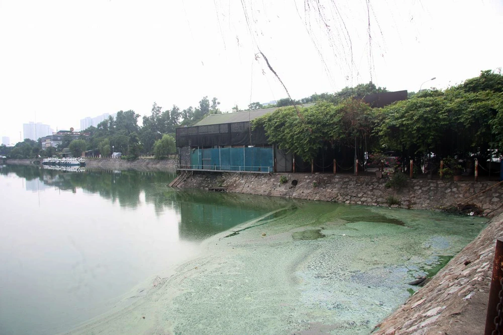 Hồ nước bốc mùi hôi thối, người dân 'cố thủ' trong nhà ảnh 1