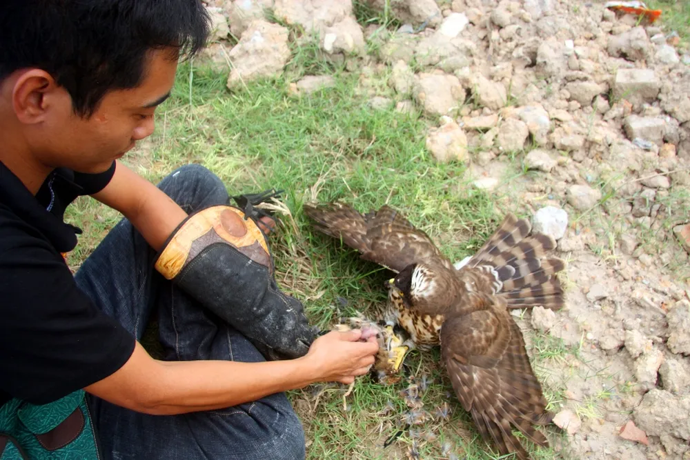 Hào hứng với hội thi chim ở Hà Nội ảnh 13 Hào hứng với hội thi chim ở Hà Nội ảnh 13