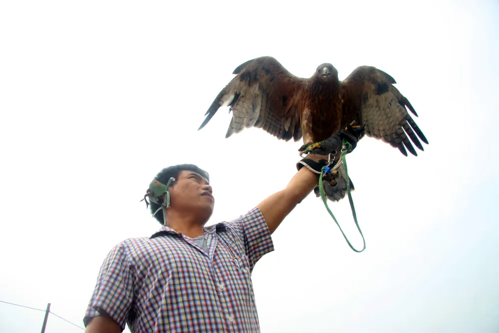 Hào hứng với hội thi chim ở Hà Nội ảnh 7 Hào hứng với hội thi chim ở Hà Nội ảnh 7