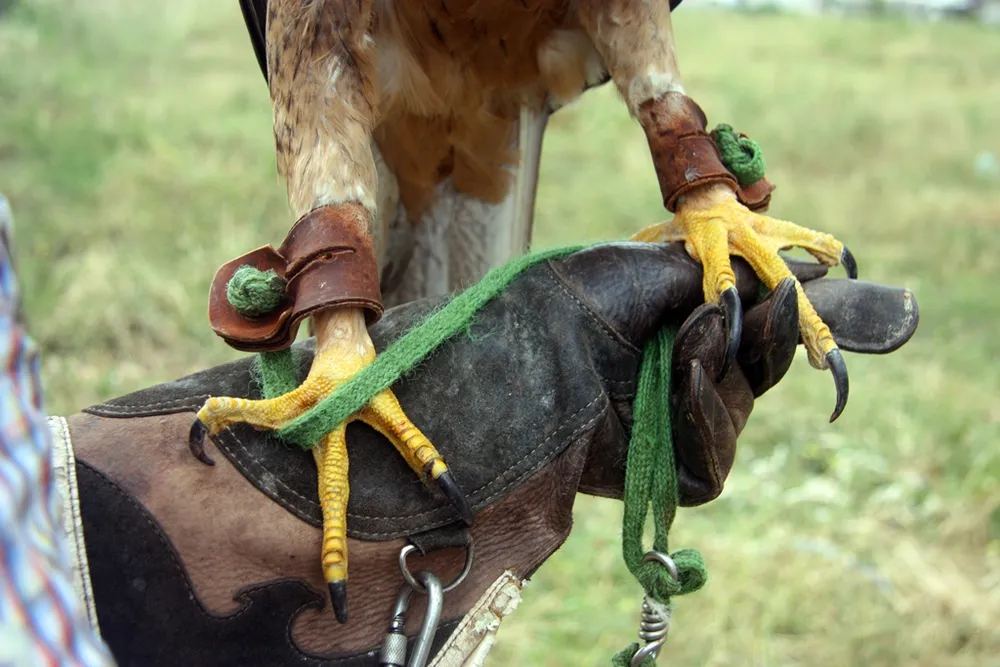 Hào hứng với hội thi chim ở Hà Nội ảnh 8 Hào hứng với hội thi chim ở Hà Nội ảnh 8