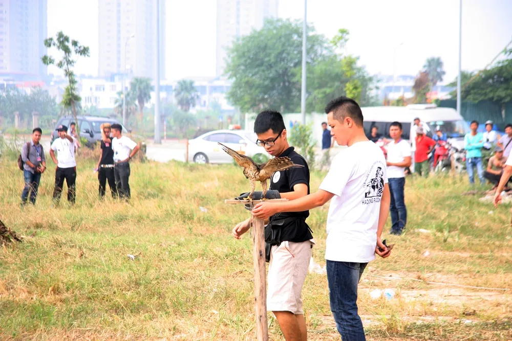 Hào hứng với hội thi chim ở Hà Nội ảnh 11 Hào hứng với hội thi chim ở Hà Nội ảnh 11
