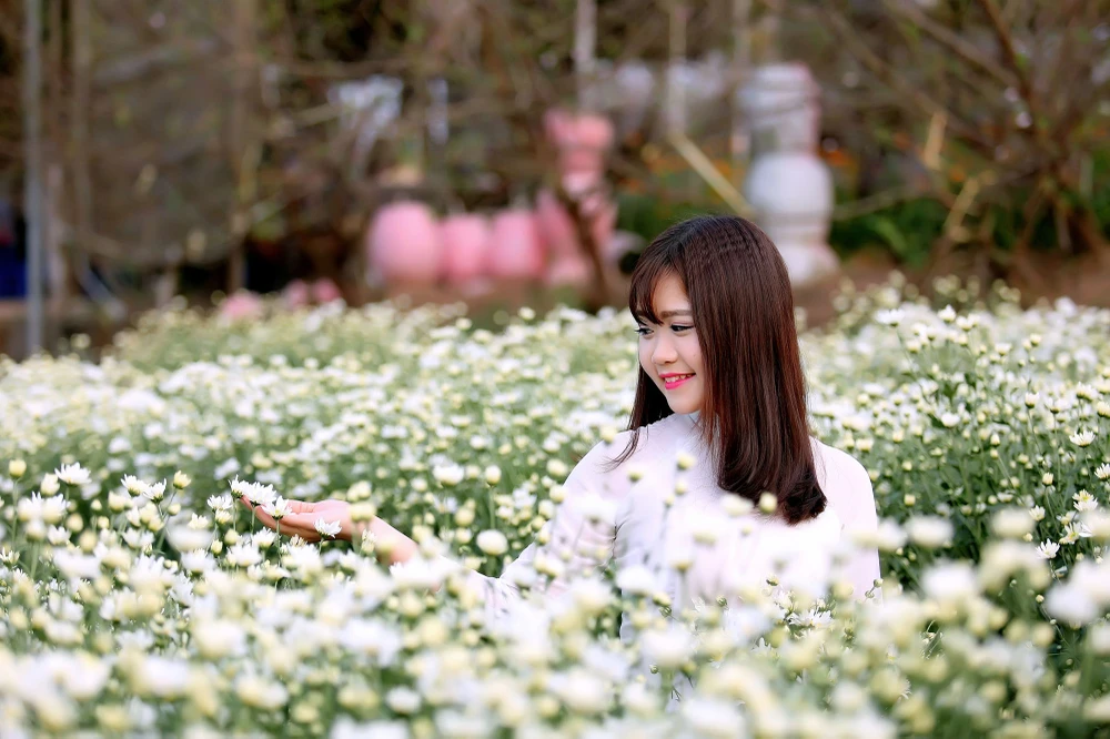 Thiếu nữ Hà thành 'đọ sắc' cùng hoa cúc họa mi ảnh 12