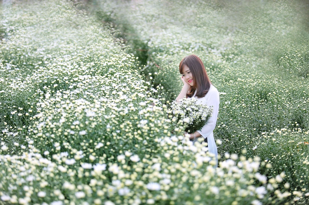 Thiếu nữ Hà thành 'đọ sắc' cùng hoa cúc họa mi ảnh 10