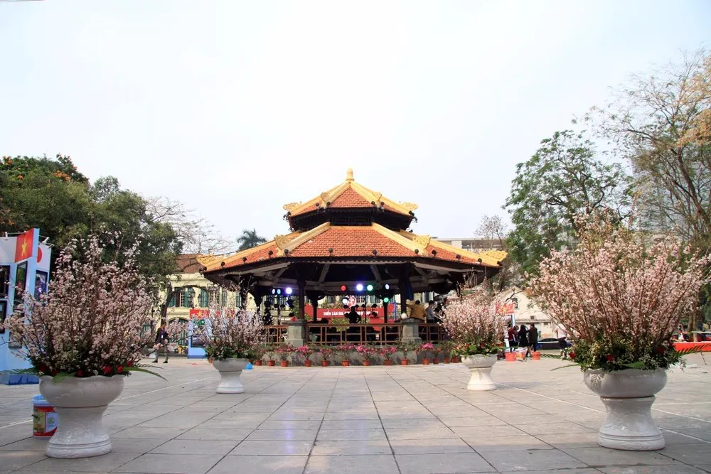 thêm 12.000 cành anh đào đã theo đường hàng không