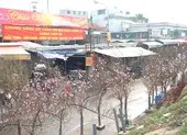 Hà Nội: Phố phường 'đỏ lửa' ngày cận Tết Nguyên đán 2022 ảnh 9 Video: Không khí Tết tràn ngập khắp phố phường Hà Nội