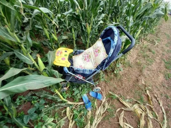 Chiếc xe nôi, dép cũng được tìm thấy ven bờ sông. Ảnh CTV Chiếc xe nôi, dép cũng được tìm thấy ven bờ sông. Ảnh CTV