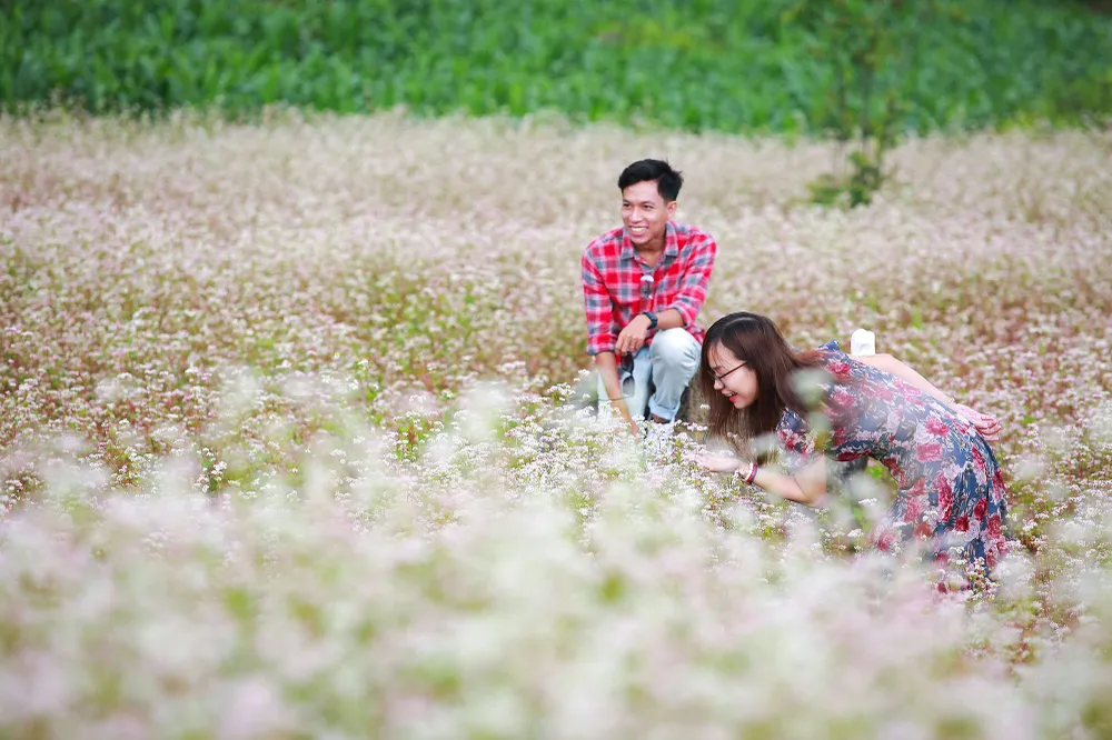 Du khách đến đây đều đắm say, ngây ngất trước vẻ đẹp dịu dàng của hoa và muốn tìm cho mình một vị trí “đắc địa” để ngắm loài hoa này cho thỏa thích. Du khách đến đây đều đắm say, ngây ngất trước vẻ đẹp dịu dàng của hoa và muốn tìm cho mình một vị trí “đắc địa” để ngắm loài hoa này cho thỏa thích.