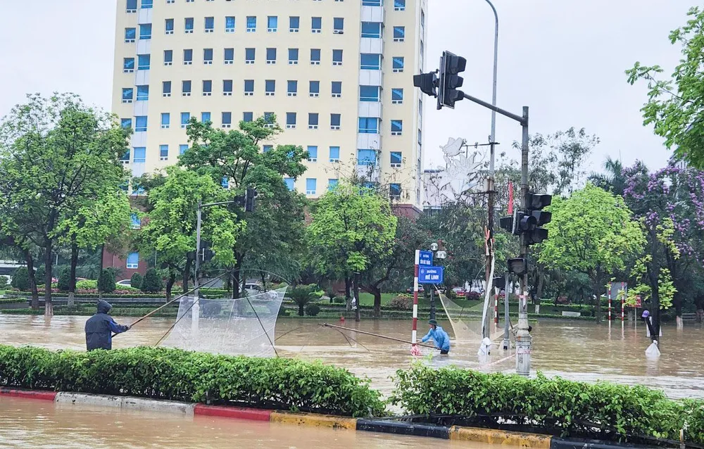 Mưa lớn, nước ngập sâu, khiến cá từ các ao hồ cạnh đó thoát ra.