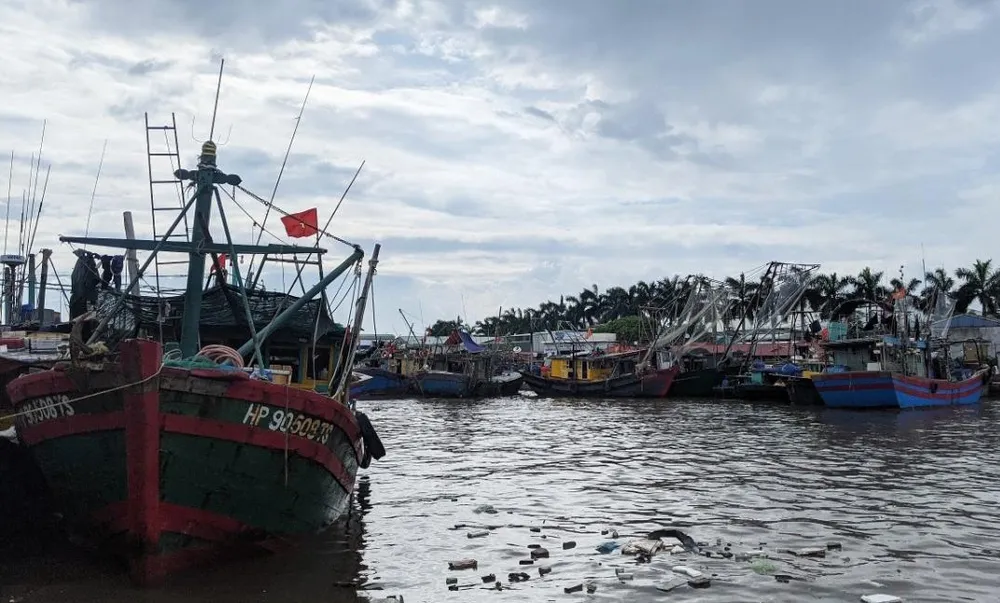 Chủ động các âu thuyền cho tàu về tránh trú an toàn. Ảnh CTV