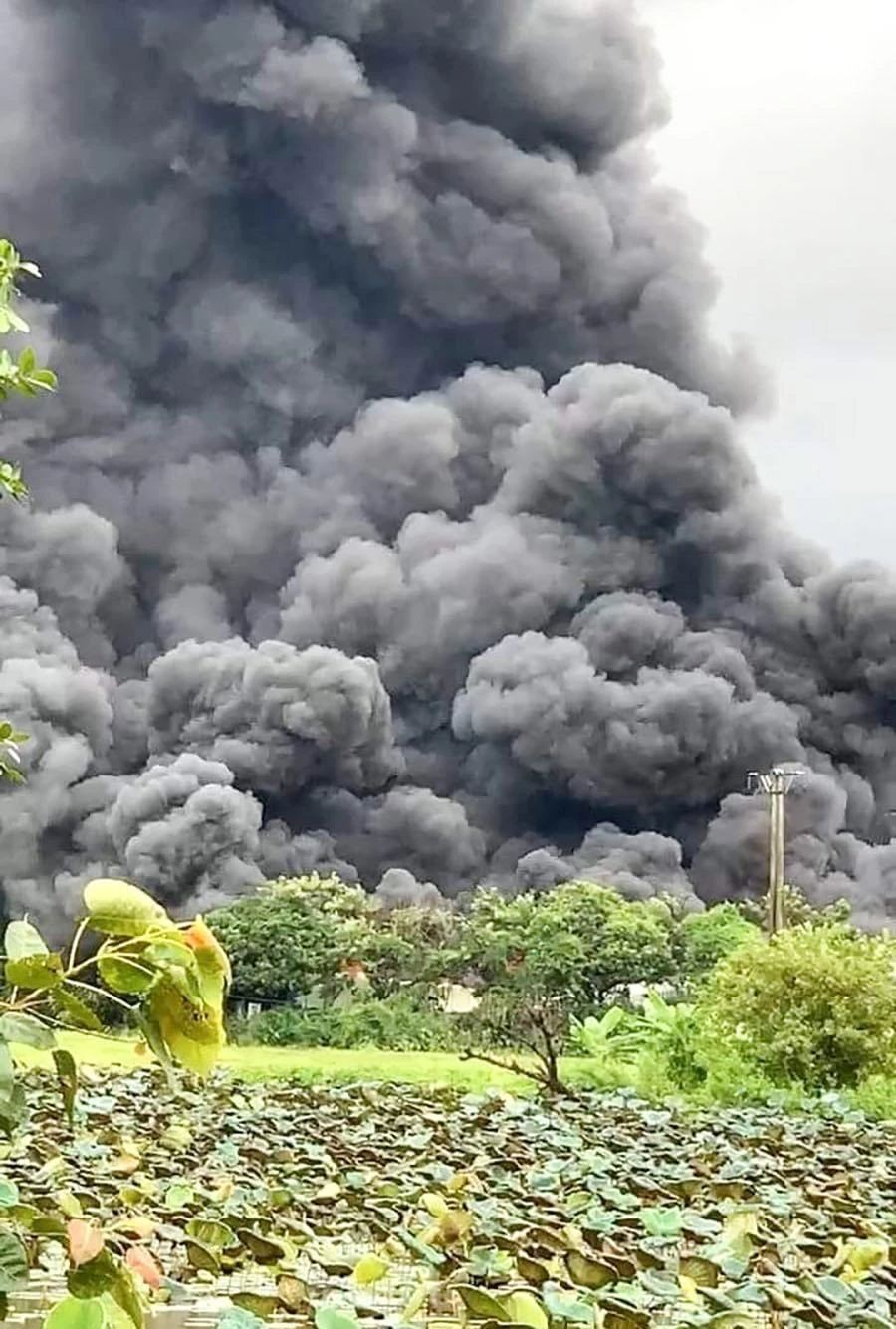 Cột khói bốc cao nghi ngút tại hiện trường vụ cháy. Ảnh CTV