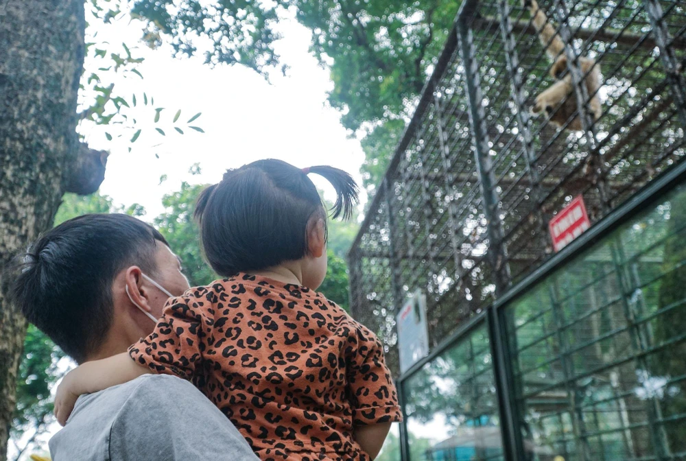 Nhiều em nhỏ thích thú ngắm nhìn các con vật trong vườn bách thú.