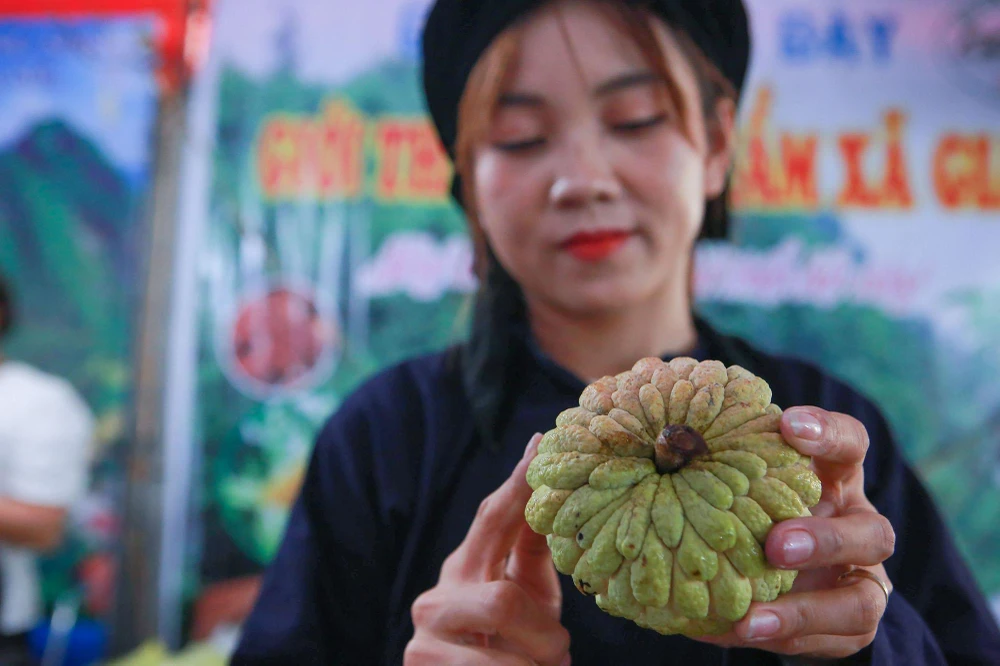 Thương hiệu “Na Chi Lăng” đã vinh dự được Tổng hội Nông nghiệp Việt Nam vinh danh và trao cúp vàng chứng nhận là thương hiệu nổi tiếng trong top 10 “Thương hiệu vàng nông nghiệp Việt Nam”.