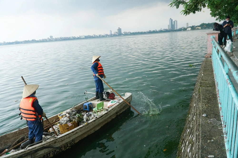 Đại diện Công ty TNHH Một thành viên Thoát nước Hà Nội cho biết, hiện tượng cá chết được ghi nhận từ khoảng đầu tháng 10. Đây là hiện tượng bình thường khi thời tiết thay đổi từ mưa sang nắng hoặc có thể là do người dân thả phóng sinh nên cá chưa thích nghi được với môi trường sống mới. Trước mắt, Công ty TNHH Một thành viên Thoát nước Hà Nội đang chỉ đạo Xí nghiệp Thoát nước số 1 tổ chức thu vớt cá chết để xử lý theo quy định, tránh ảnh hưởng đến môi trường.