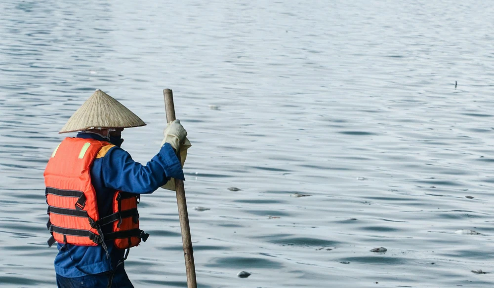 Lượng cá chết khá nhiều, chủ yếu là các loại cá to, có con nặng cả vài kg. Theo hướng gió, cá chết nổi lên bị dạt tập trung về phía bờ kè lề phố Nguyễn Đình Thi, Trích Sài.