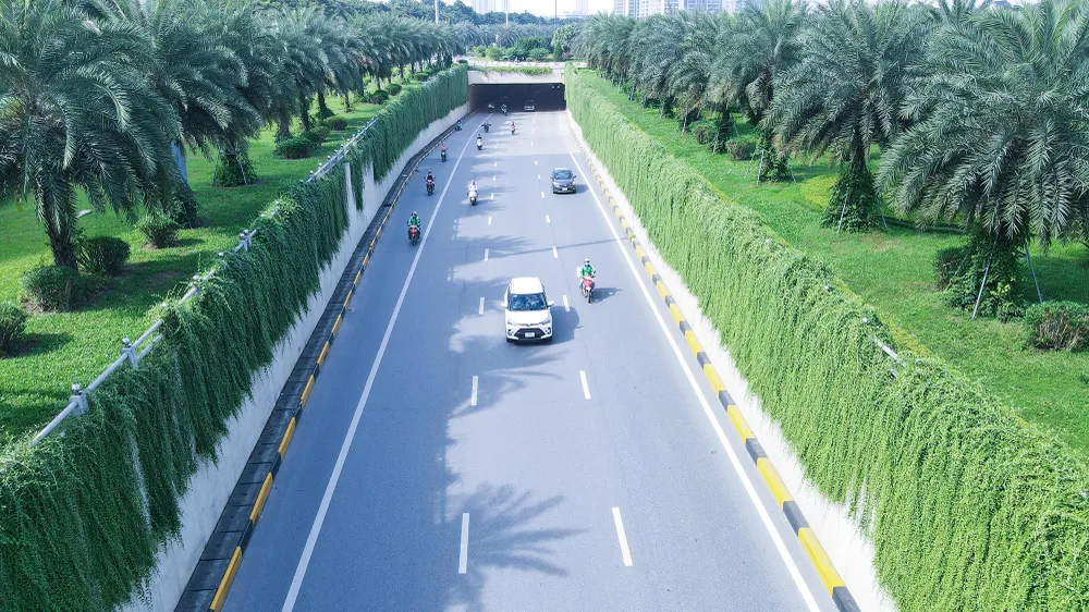 Thời gian gần đây, người dân Hà Nội hào hứng và thích thú khi đi qua đoạn đường dẫn vào hầm chui Trung Hòa vì bắt gặp hàng dây leo xanh mướt hai bên đường.